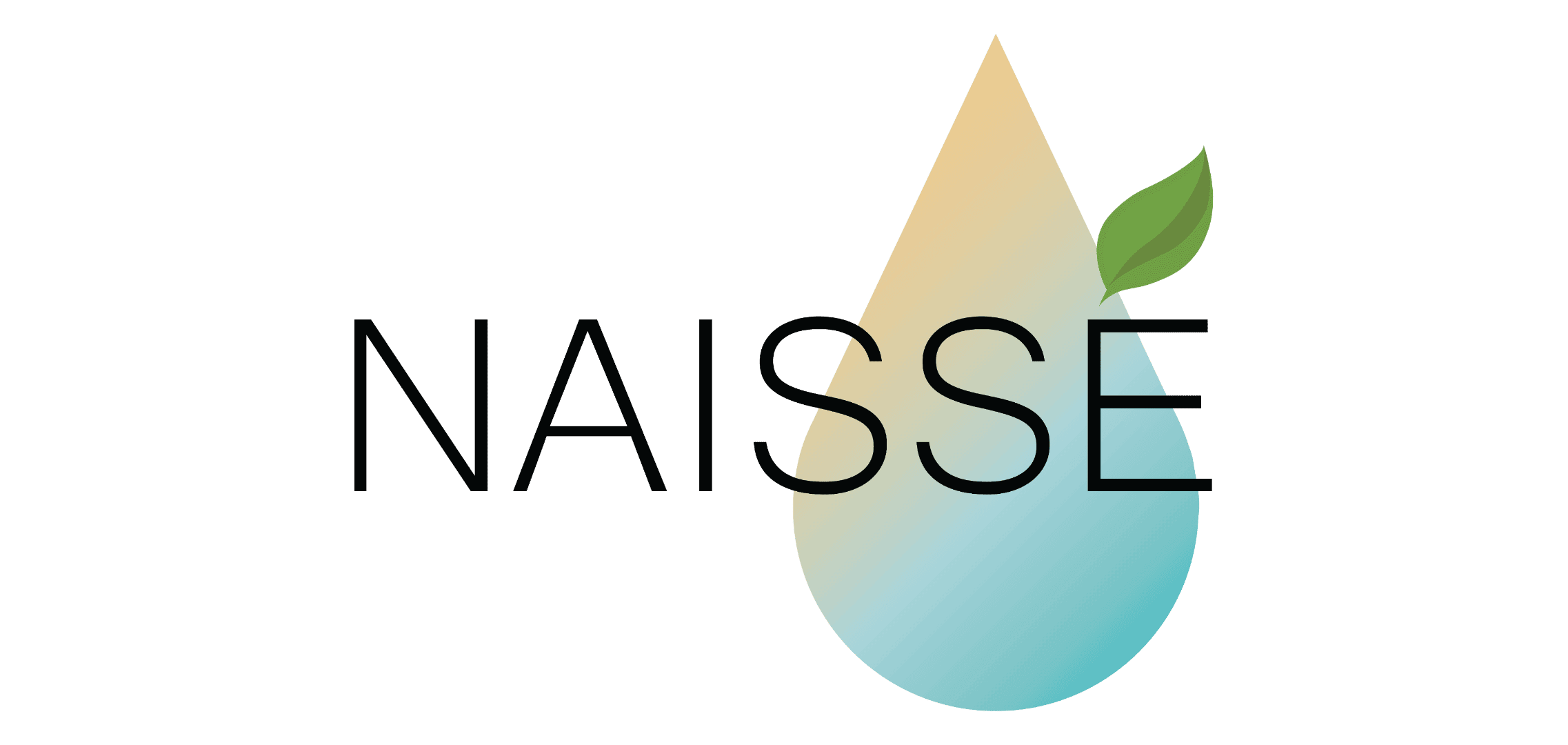 Naisse Skincare-Hydrating Skincare Essentials